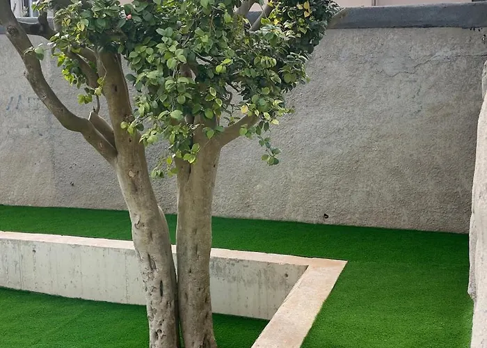 Rooftop Foz Cool Living Apartamento *